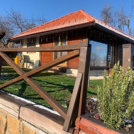 Apartmani Lunija Gornji Milanovac Dış mekan fotoğraf
