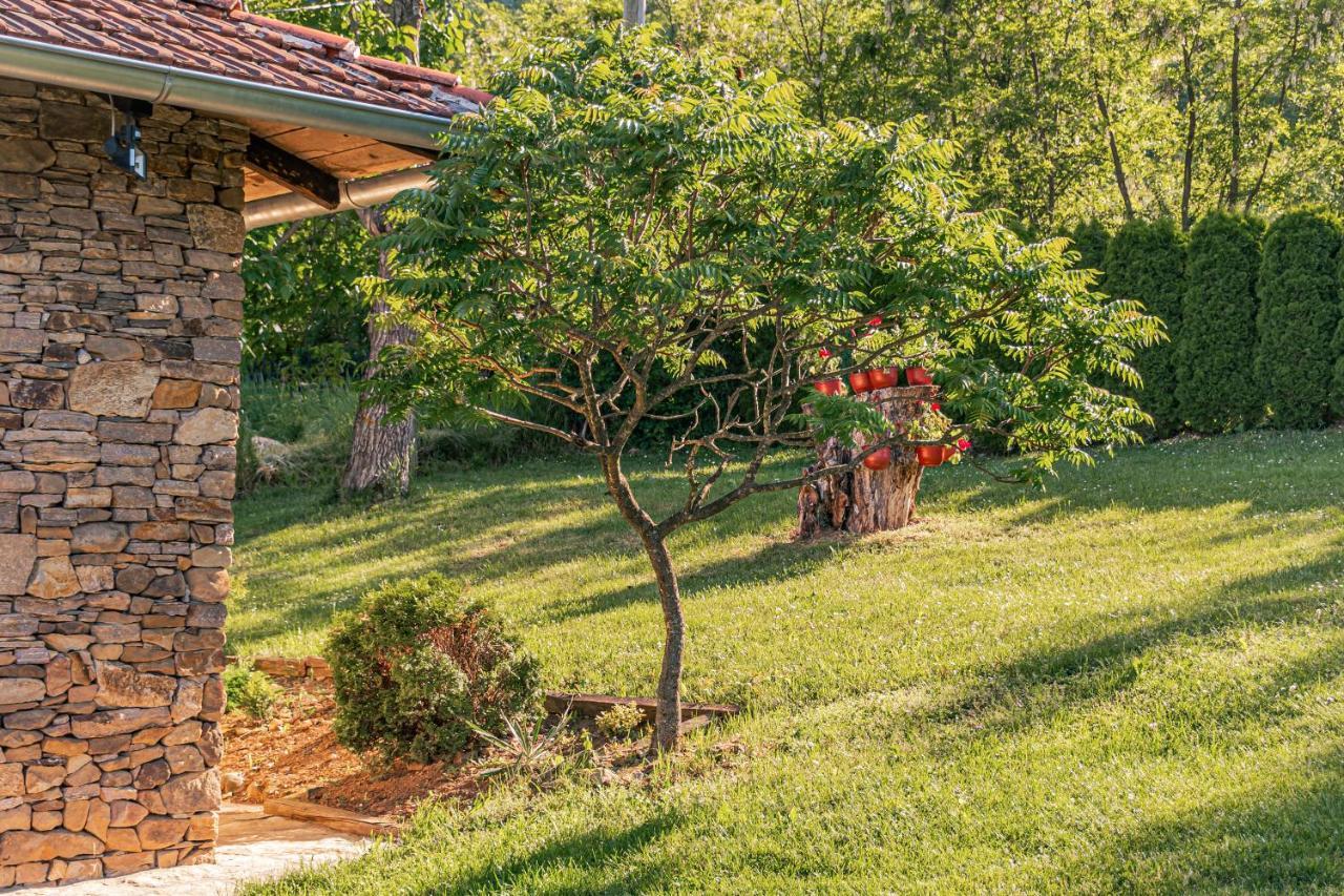 Apartmani Lunija Gornji Milanovac Dış mekan fotoğraf