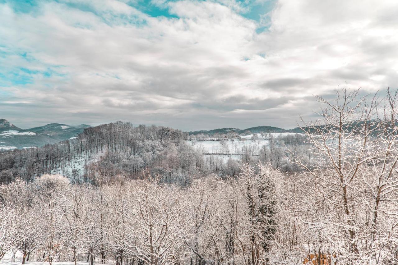 Apartmani Lunija Gornji Milanovac Dış mekan fotoğraf