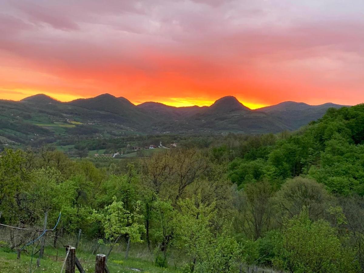 Apartmani Lunija Gornji Milanovac Dış mekan fotoğraf