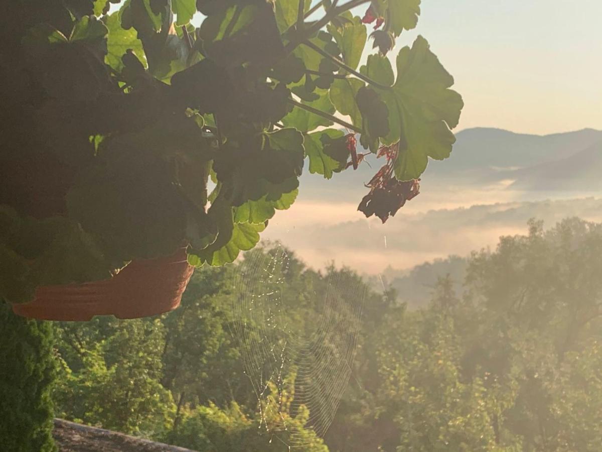 Apartmani Lunija Gornji Milanovac Dış mekan fotoğraf